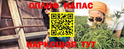 прущие грибы Туймазы