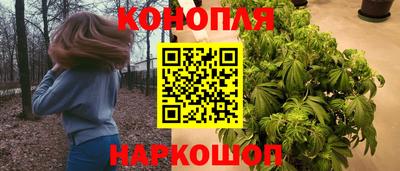 бошки Тула