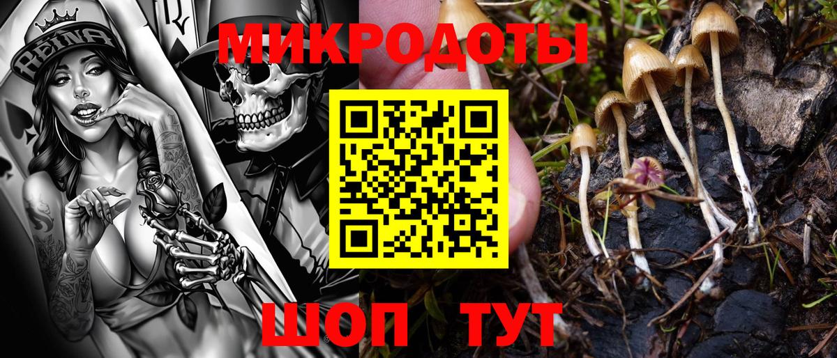 Псилоцибиновые грибы ЛСД  Вход с VPN  Орск 